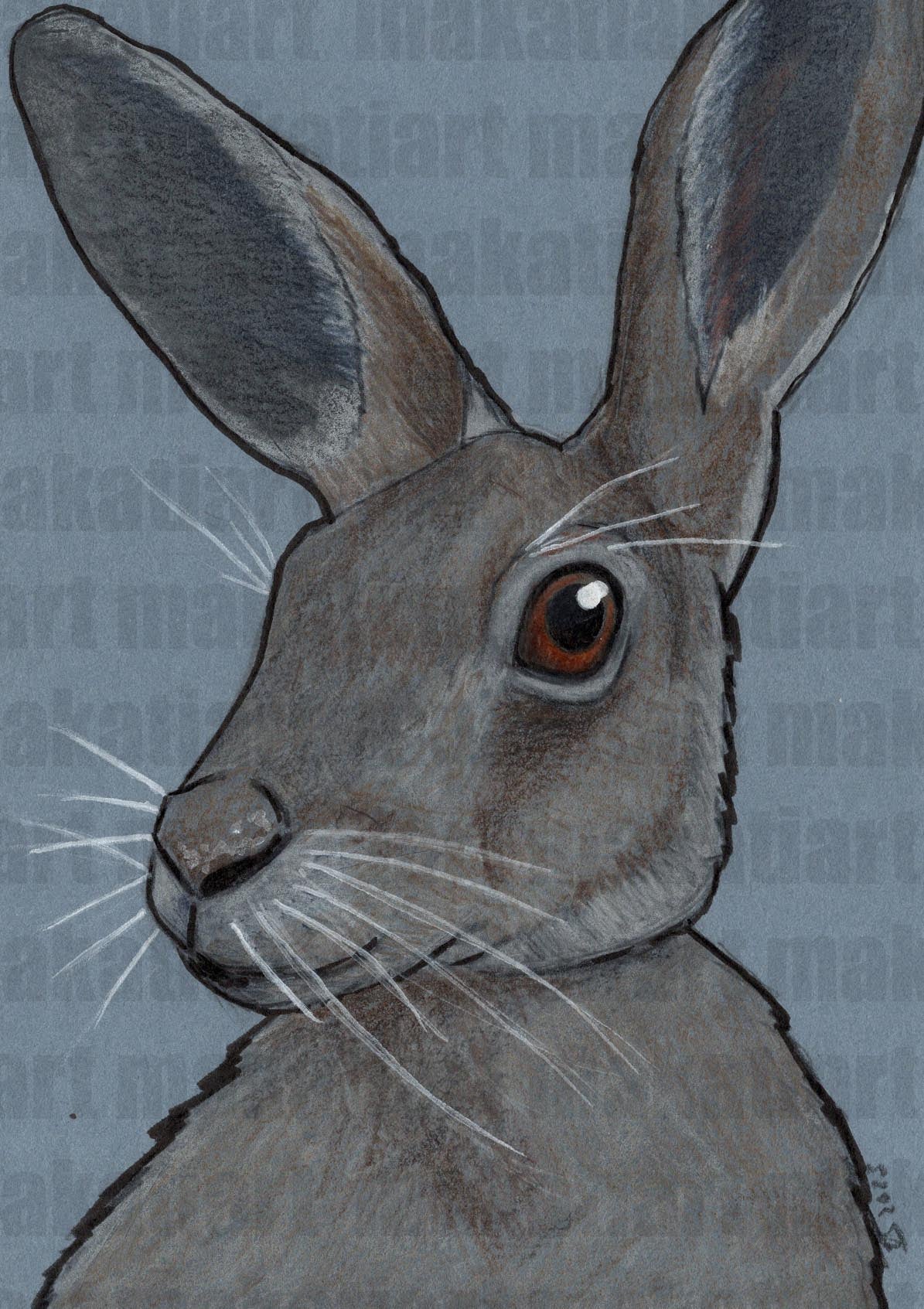 Bunststiftzeichnung Hase