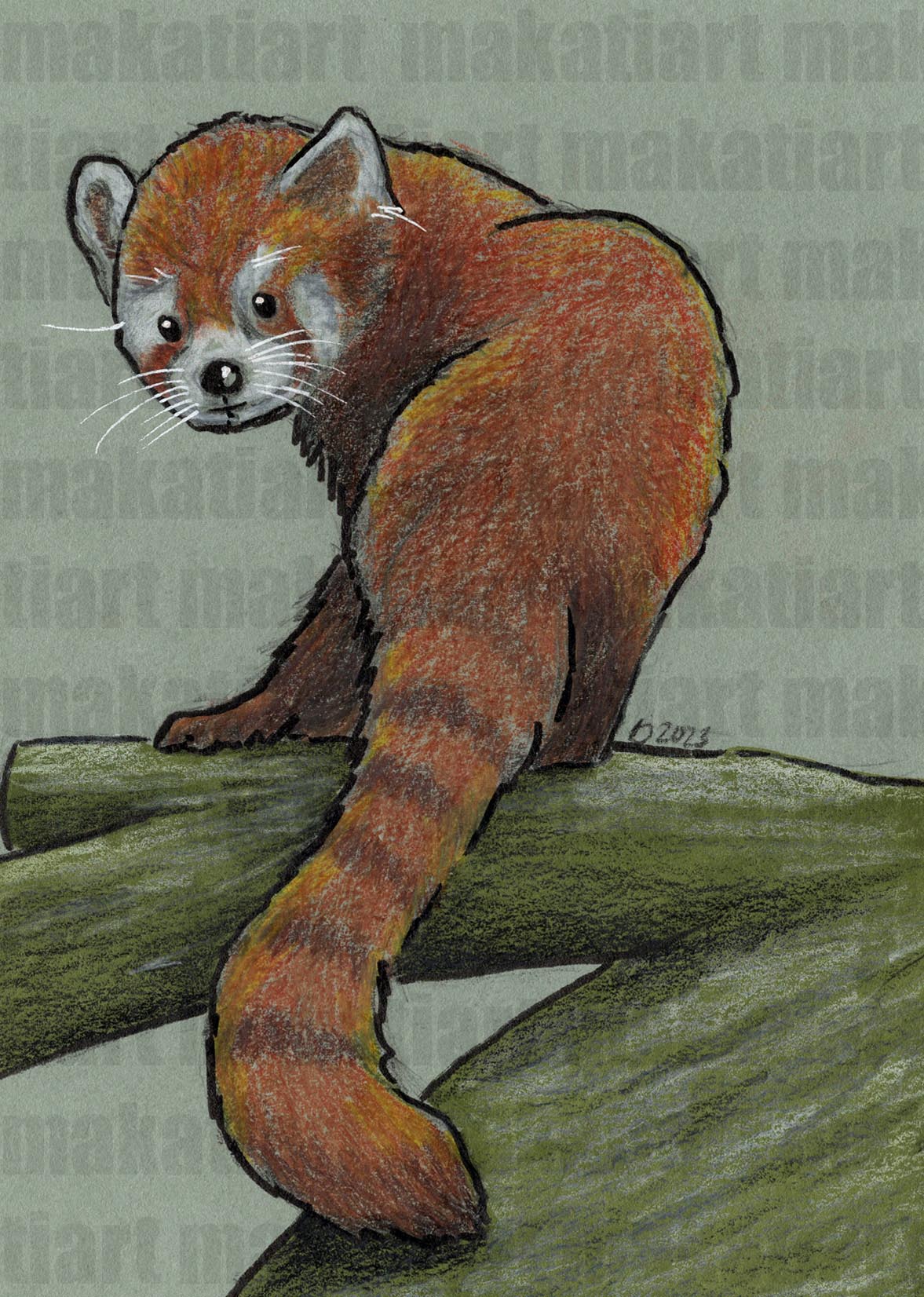 Buntstiftzeichnung Roter Panda