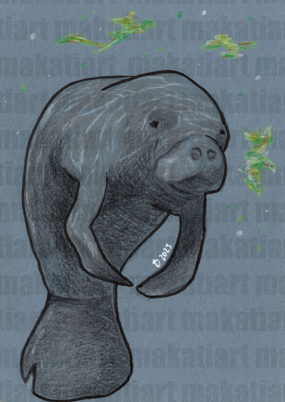 Bunststiftzeichnung Seekuh