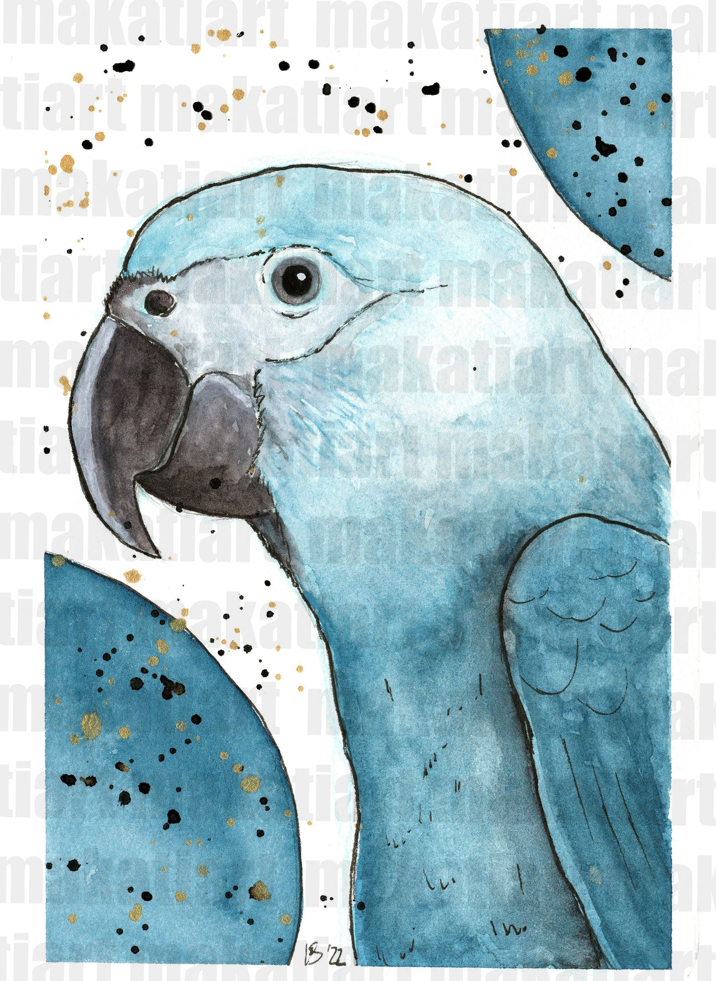 Aquarell Spixara
