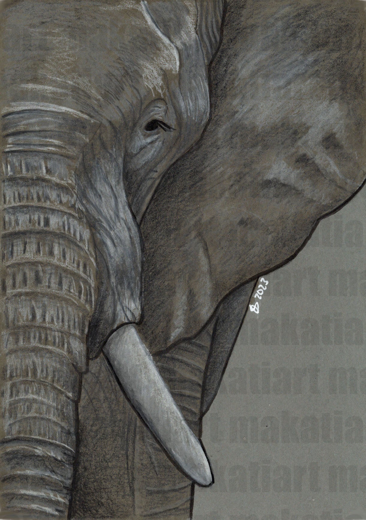 Bunststiftzeichnung Elefant