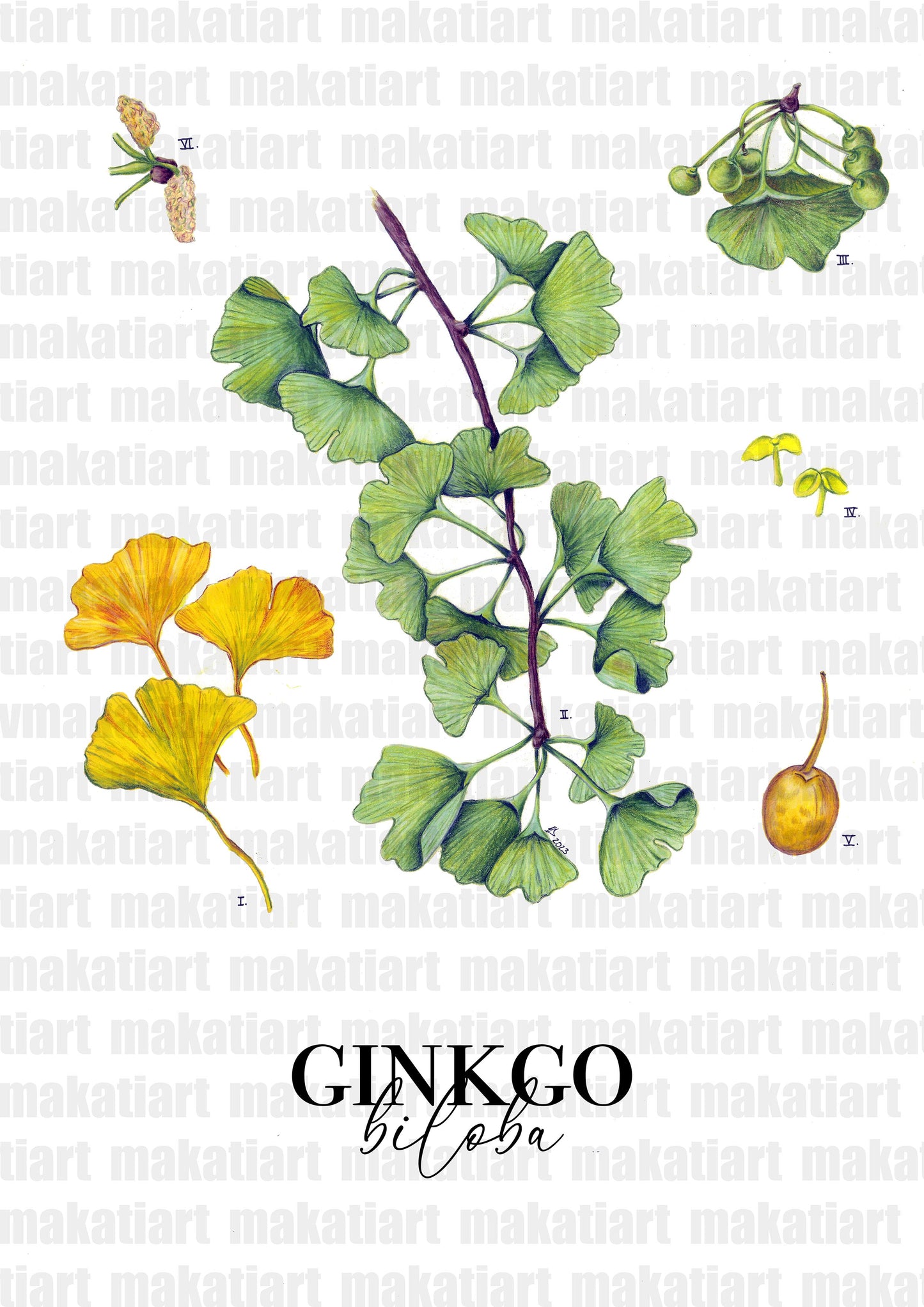 Kunstdruck Ginkgo