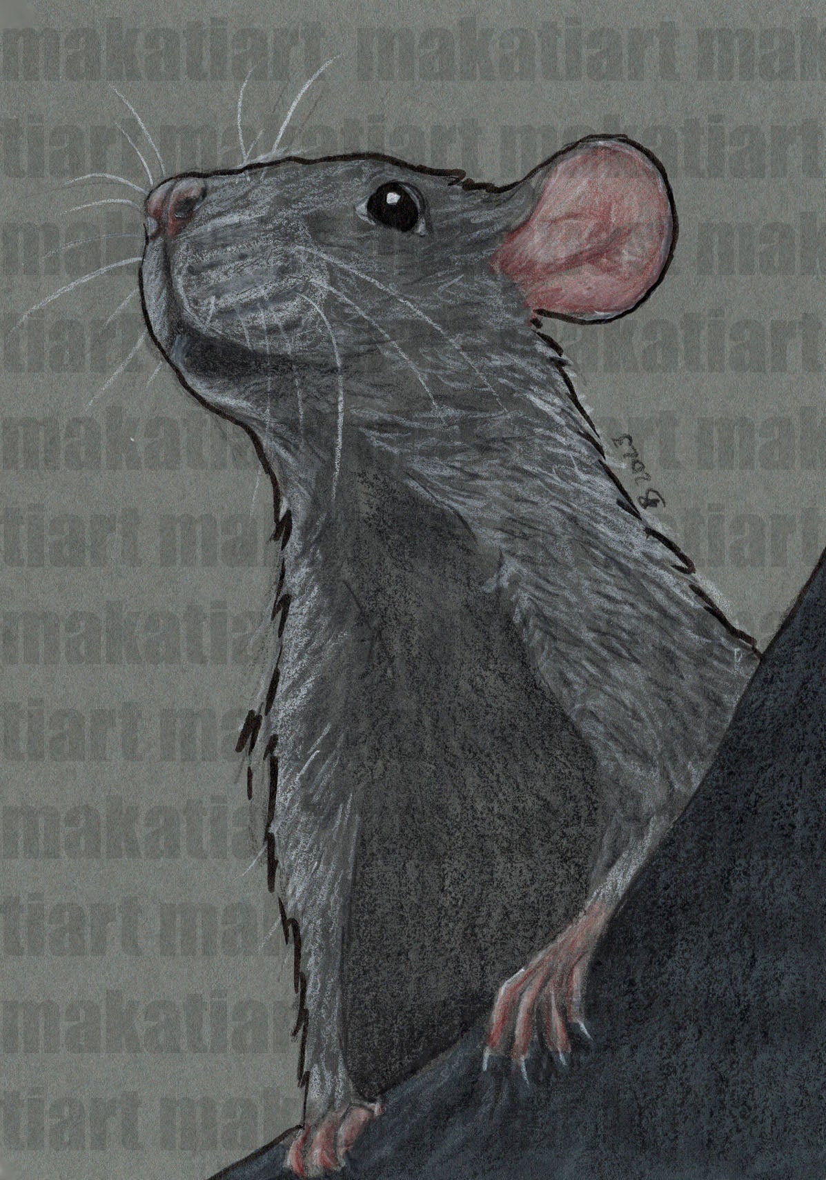 Bunststiftzeichnung Ratte